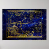 poster de constellation de chevaux et dauphins (Devant)