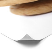 Poster de Cookies de Chip de Chocolat Imprimer (Coin)