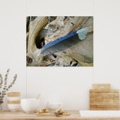 Poster de coordination des éléments de la plume de (Cuisine)