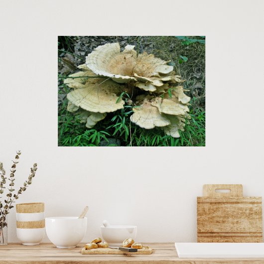 Poster de coordination du champignon Pale Shelf (Cuisine)