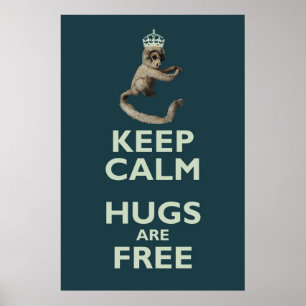 Poster de Copernicus-le-singe homicide