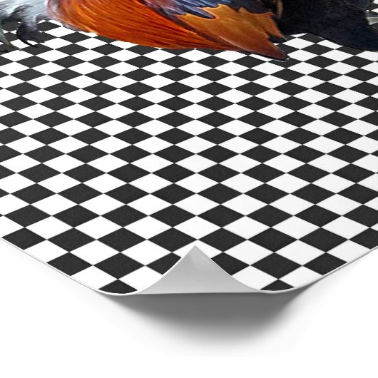 Poster de coq à chaîne colorée (Coin)