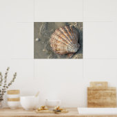 Poster De Coquillages Sur La Plage (Cuisine)