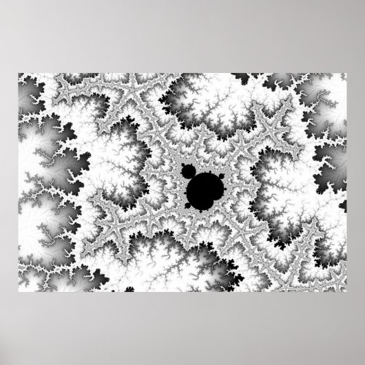 Poster de corail noir (Devant)