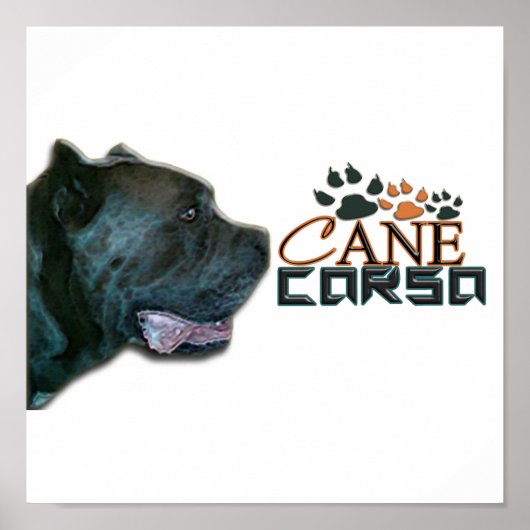 Poster de Corso Cane(P) (Devant)