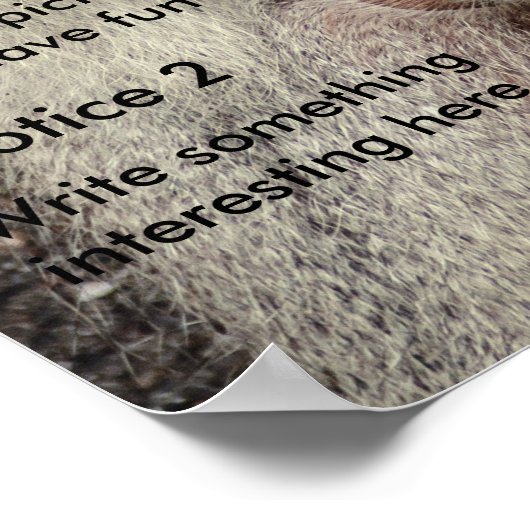 Poster de couverture du magazine (Coin)