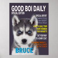 Poster de couverture du magazine Siberian Husky Pa