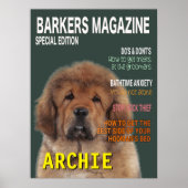 Poster de couverture du magazine Tibétain Mastiff (Devant)