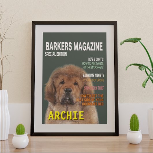 Poster de couverture du magazine Tibétain Mastiff