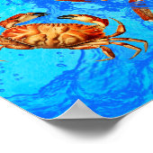 Poster de crabes de Dungeness (Coin)