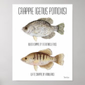 Poster de Crappie (Devant)