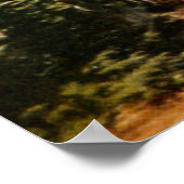 Poster de Crater Lake Oregon (Coin)