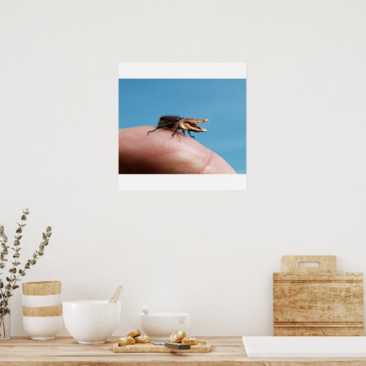 Poster de crocobug (Cuisine)