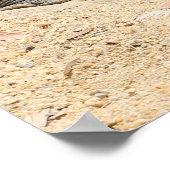 Poster de crocodile (Coin)