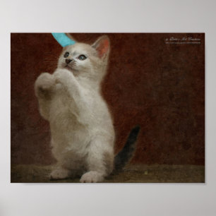 Poster de Cute Kittie
