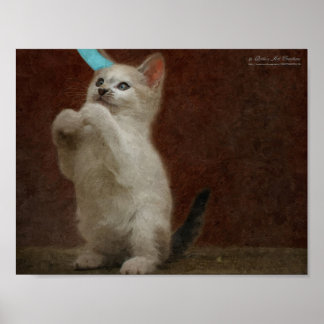 Poster de Cute Kittie