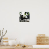 Poster de Cute Panda (Cuisine)