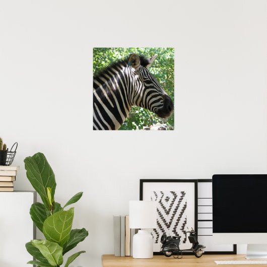 Poster de Cute Zebra (Bureau à domicile)