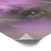 Poster de cygne blanc Echinacea Conflowers blancs (Coin)