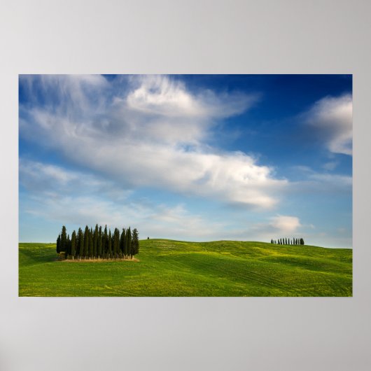 Poster de Cyprès en Toscane (Devant)
