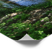 Poster de Cypress Creek (Coin)