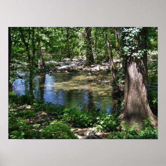 Poster de Cypress Creek (Devant)