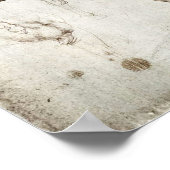 Poster de Da Vinci Horse (Coin)