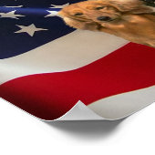 Poster de Dachshund America (Coin)