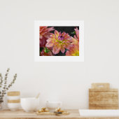 Poster de Dahlias (Cuisine)