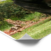 Poster de Dales Pony (Coin)