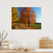 Poster de Danby Vermont Autumn Leaves (Cuisine)
