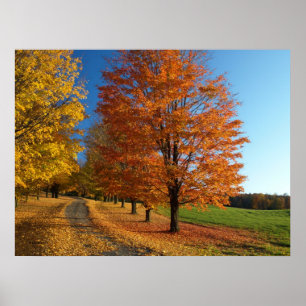 Poster de Danby Vermont Autumn Leaves