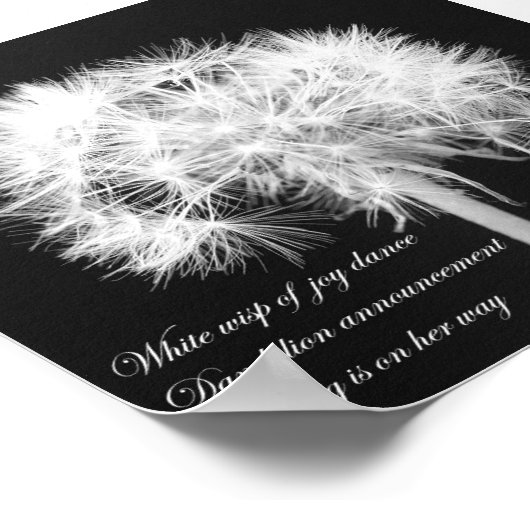 Poster de Dandelion Haiku (Coin)