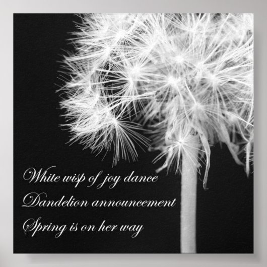 Poster de Dandelion Haiku (Devant)