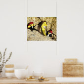 Poster de Danni, la sirène et les pirates (Cuisine)