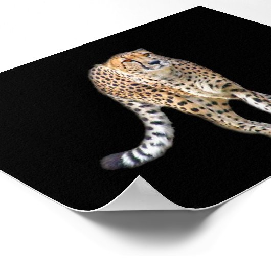 Poster de danse (Coin)