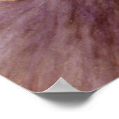 Poster de danse de la déesse du feu (Coin)