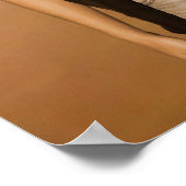 Poster de David Beach (Coin)