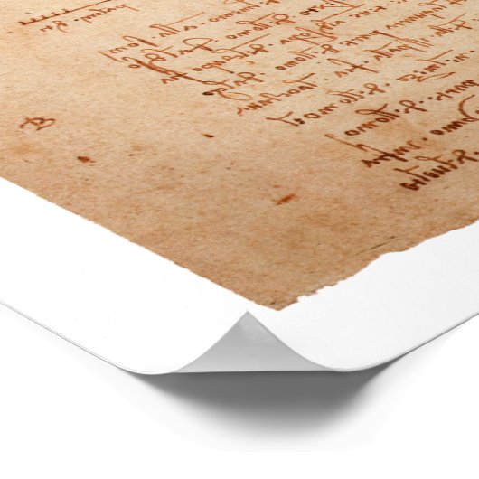 Poster de DaVinci Vitruvian (Coin)