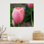 Poster de décoration murale en tulipe rose (Cuisine)