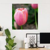 Poster de décoration murale en tulipe rose (Bureau à domicile)