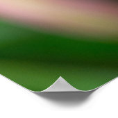 Poster de décoration murale en tulipe rose (Coin)