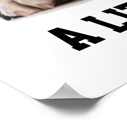 Poster de demande d'aide (Coin)