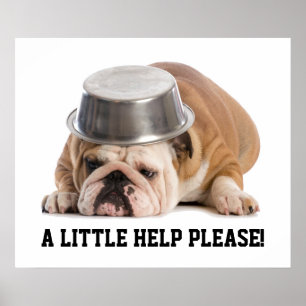 Poster de demande d'aide