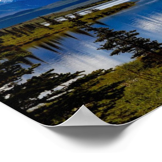 POSTER DE DENALI PARK ALASKA (Coin)