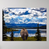 POSTER DE DENALI PARK ALASKA (Devant)
