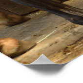 Poster De derrière (Coin)