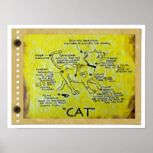 Poster de description CAT amusant!
