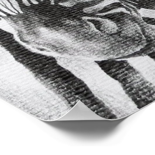 Poster de dessin au crayon original Zebra (Coin)