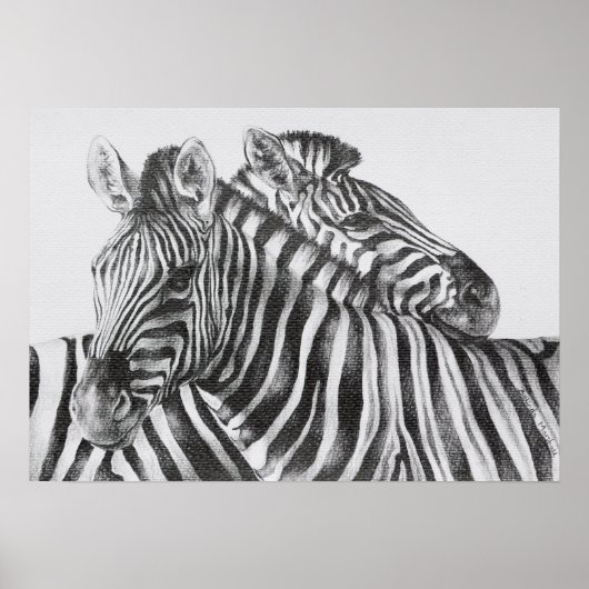 Poster de dessin au crayon original Zebra (Devant)